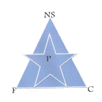 Logo New Star