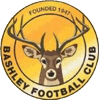 Logo Bashley