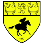 Logo Newmarket Town