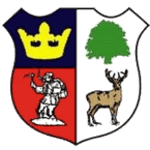 Logo Cinderford Town