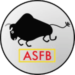 Logo RC Bobo-Dioulasso