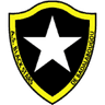 Black Stars